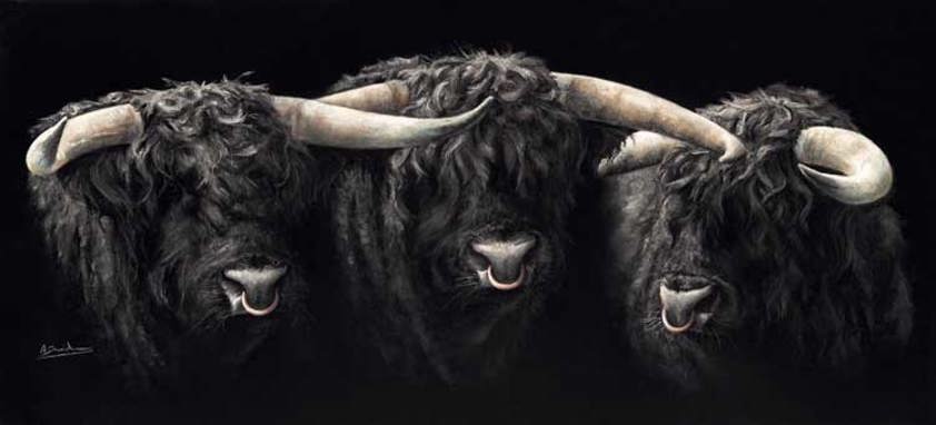 A Scottish Highland Bull Art Print by Angela Davidson