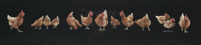 Hens