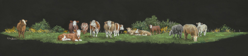 Commercial Cattle Art