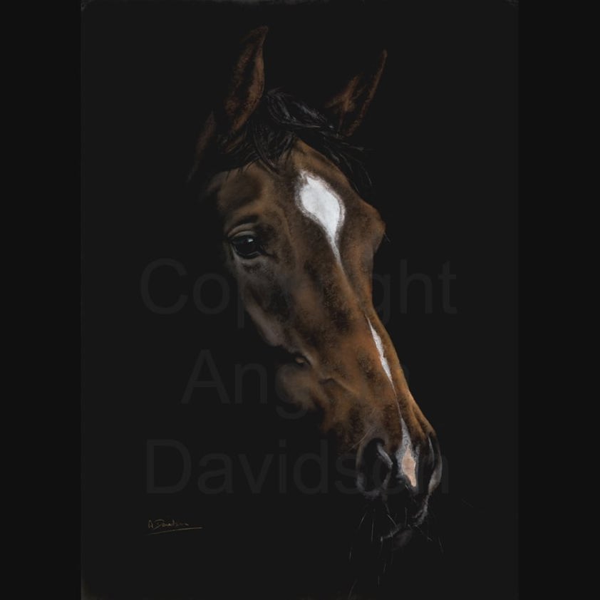 Night Star: A Stallion Horse Print by Angela Davidson Art