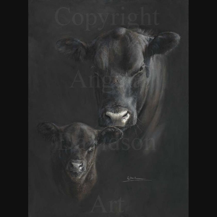 Here's to the Doddies: A Aberdeen Angus Cow Print by Angela Davidson Art