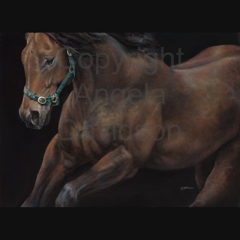 Horse Power: A  Print by Angela Davidson Art