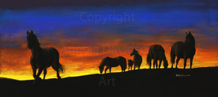 Skylight: A Stallion Horse Print by Angela Davidson Art