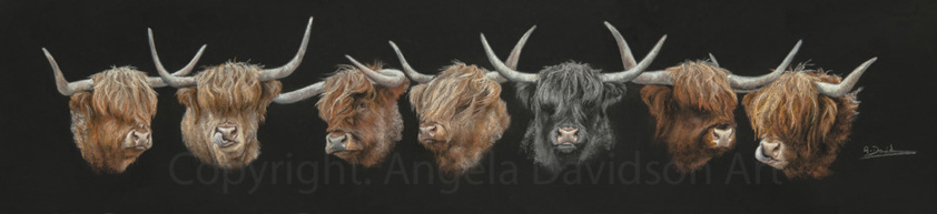 Highland Cattle Art