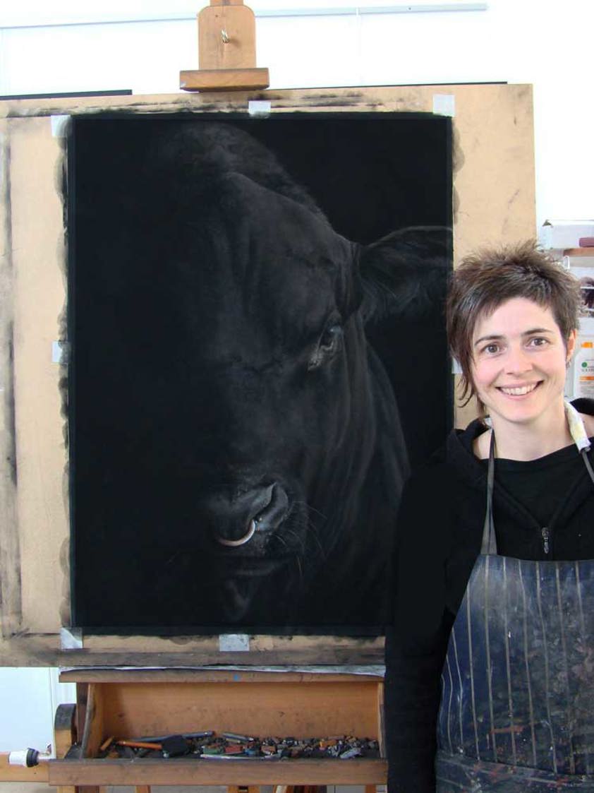 Artwork of an Aberdeen Angus Bull