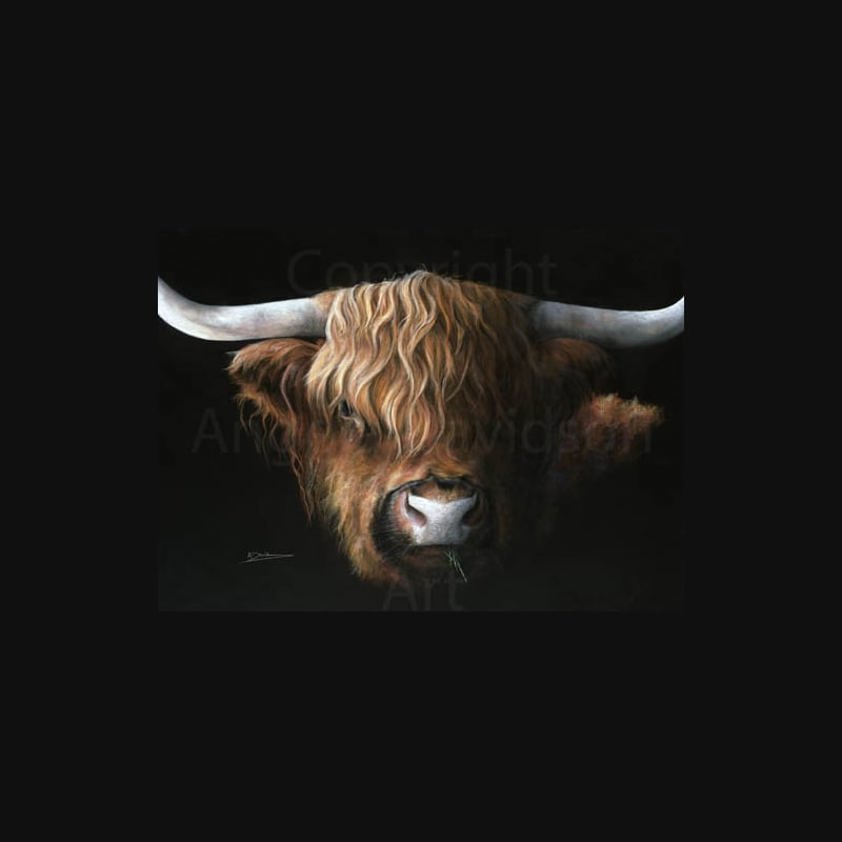 High Fibre: A Highland Cow Print by Angela Davidson Art