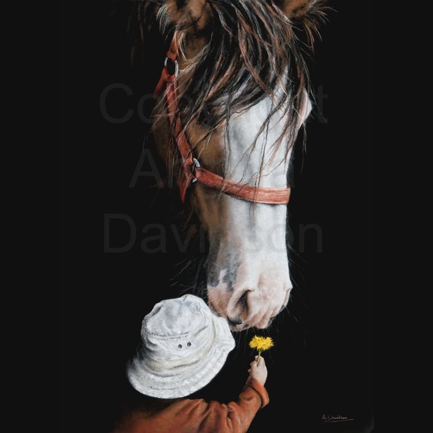 Dandelion: A Clydesdale Horse Print by Angela Davidson Art
