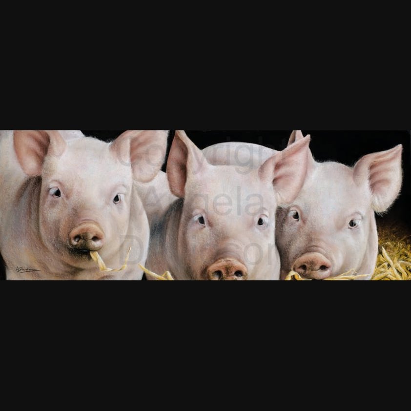 Three Little Pigs: A  Print by Angela Davidson Art