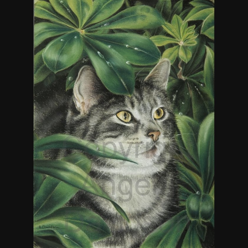 I Spy: A Cat Print by Angela Davidson Art