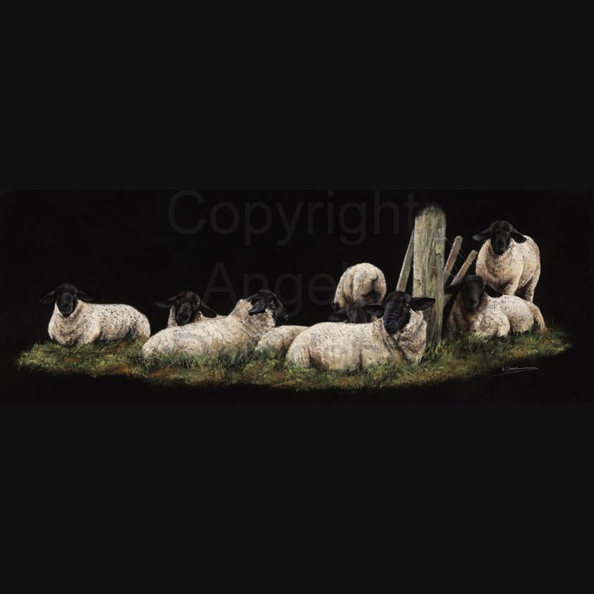 Waiting For Ewes: A Suffolk Ram Print by Angela Davidson Art