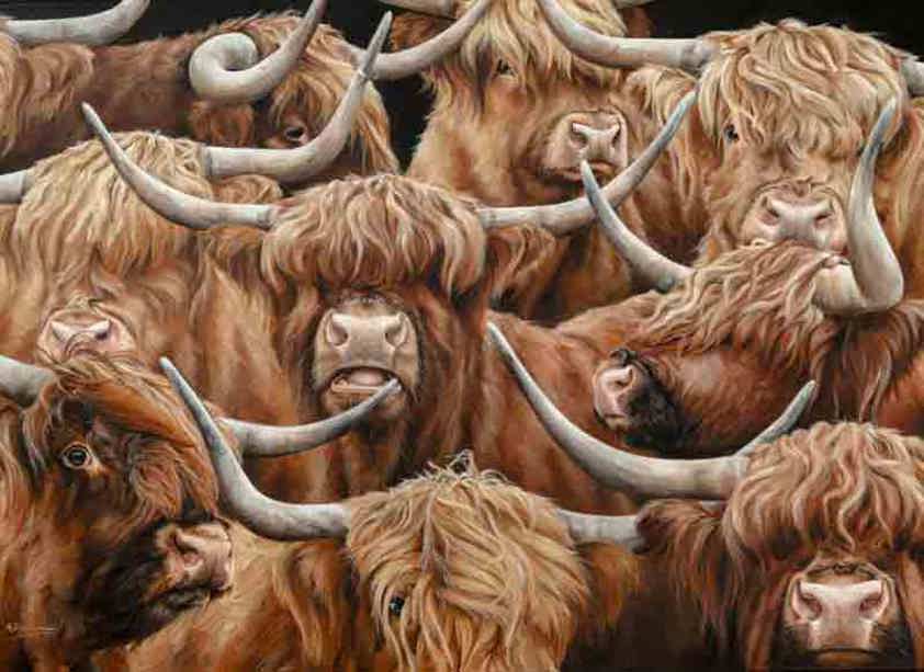 A Highland Cow Limited Edition Print by Angela Davidson