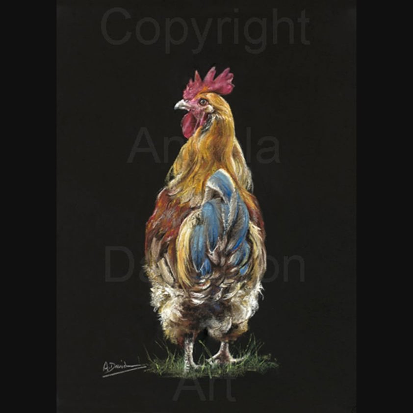 Major Lightfeather: A Cockerel Print by Angela Davidson Art