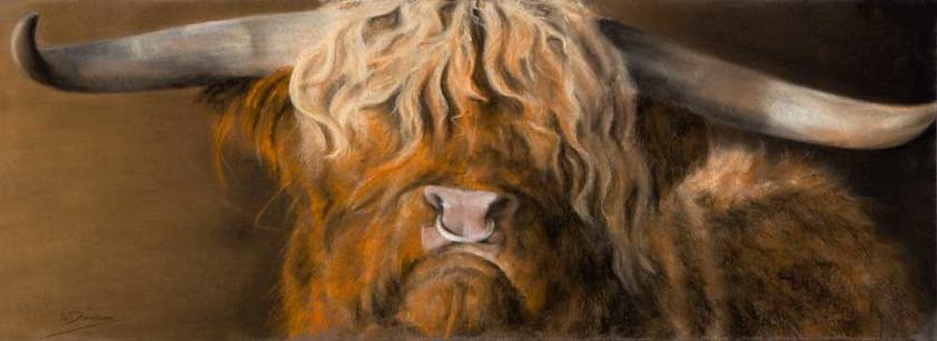 A Highland Bull Limited Edition Print by Angela Davidson
