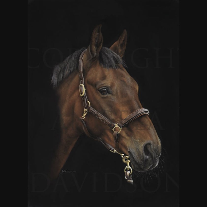 Sir Galahad: A Stallion Horse Print by Angela Davidson Art