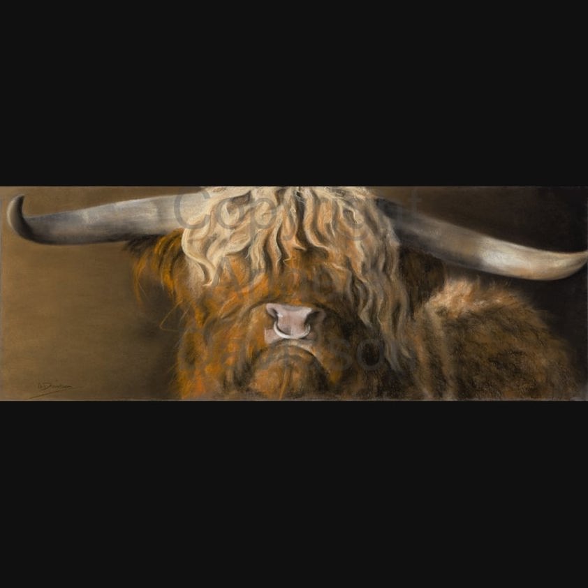 Suilven: A Highland Bull Print by Angela Davidson Art