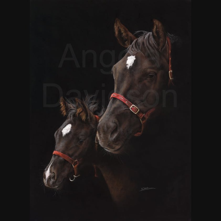 Horse Art: A Star is Born. Mare & foal limited edition print
