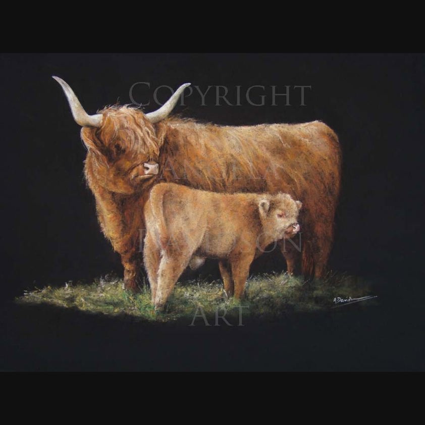 Little Ted: A Highland Cow Print by Angela Davidson Art