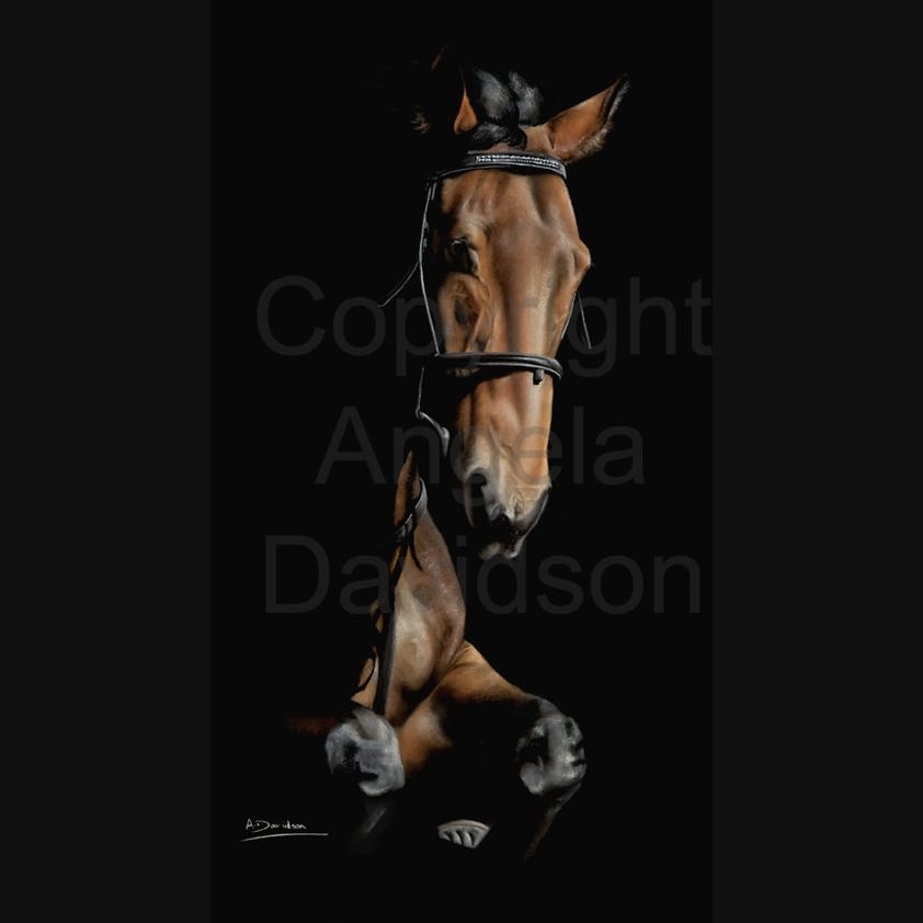 Moon Dancer: A Stallion Horse Print by Angela Davidson Art