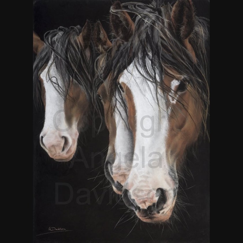 Young Dudes: A Clydesdale Horse Print by Angela Davidson Art