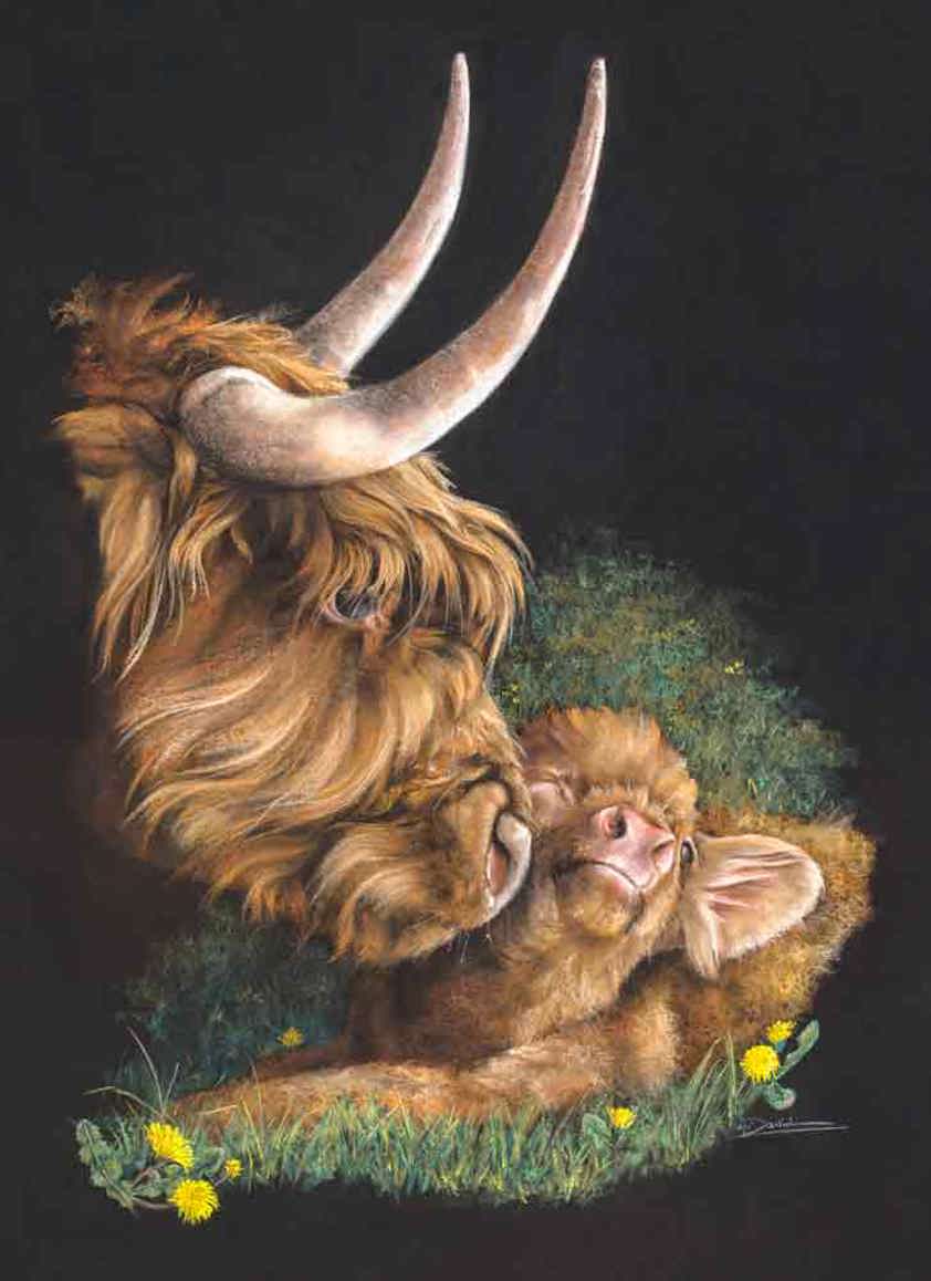 A Highland Cow Limited Edition Print by Angela Davidson