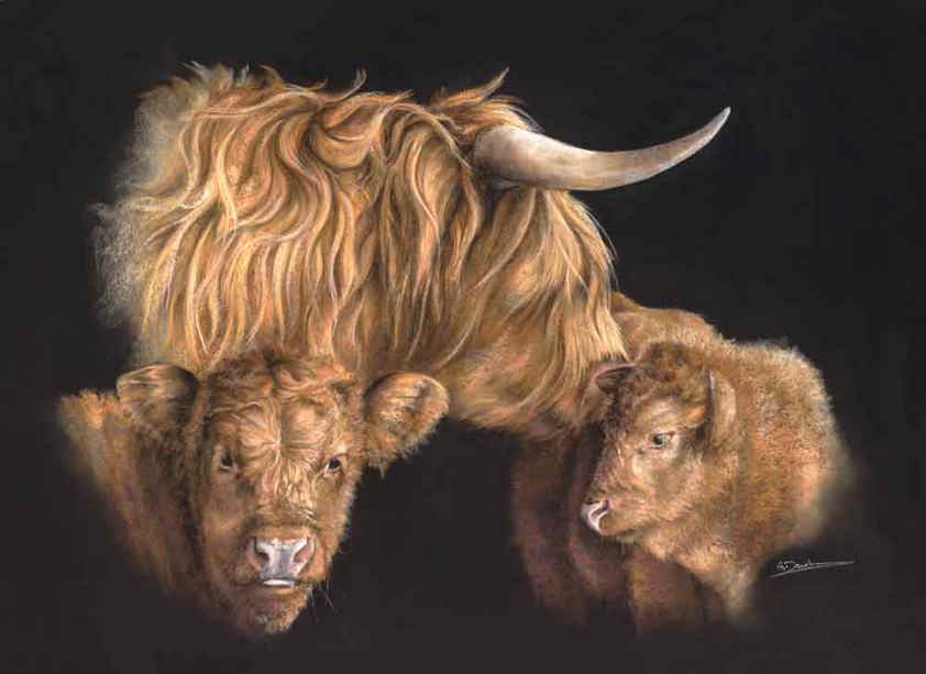 A Highland Cattle Print by Scottish Artist Angela Davidson