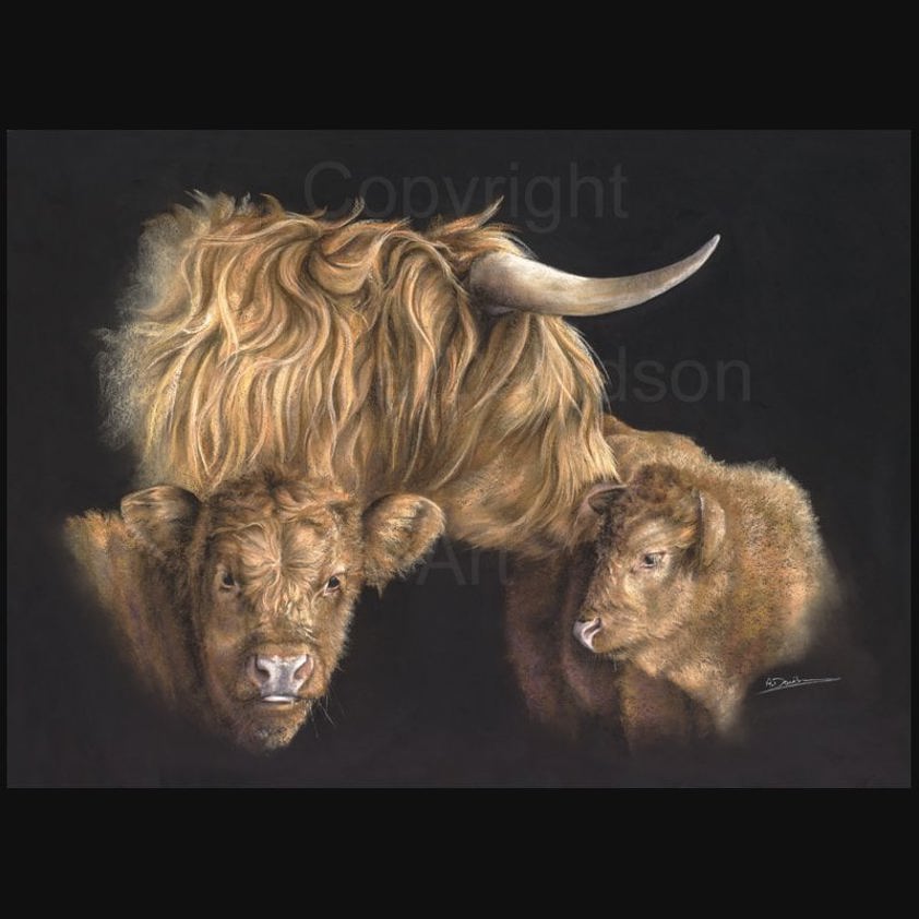 Double Trouble: A Highland Cow Print by Angela Davidson Art