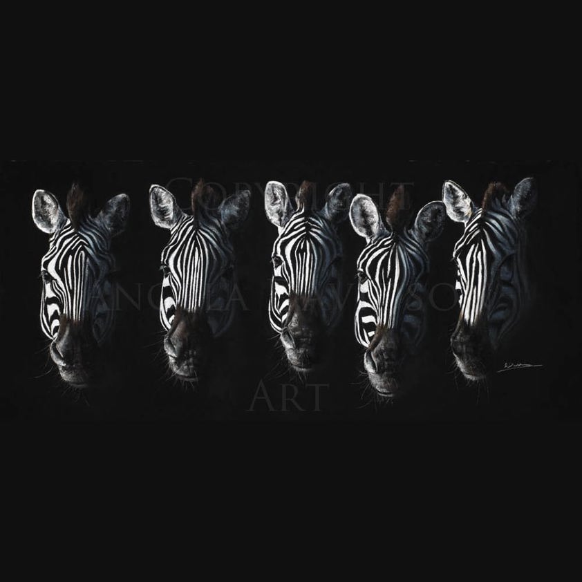 Crossing: A Zebra Print by Angela Davidson Art