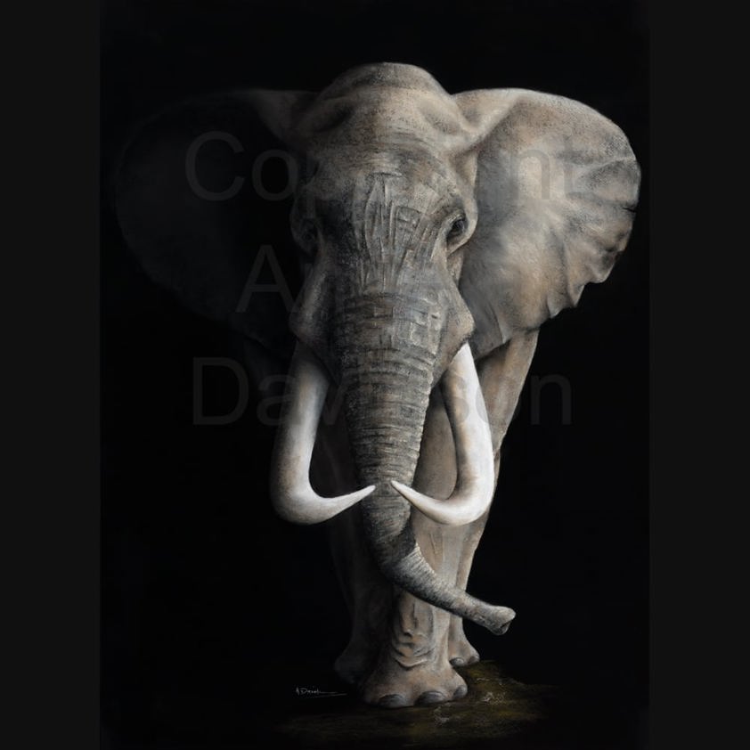 Egbert's Dad: A Elephant Print by Angela Davidson Art