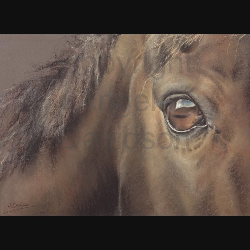 Reflection: A Stallion Horse Print by Angela Davidson Art