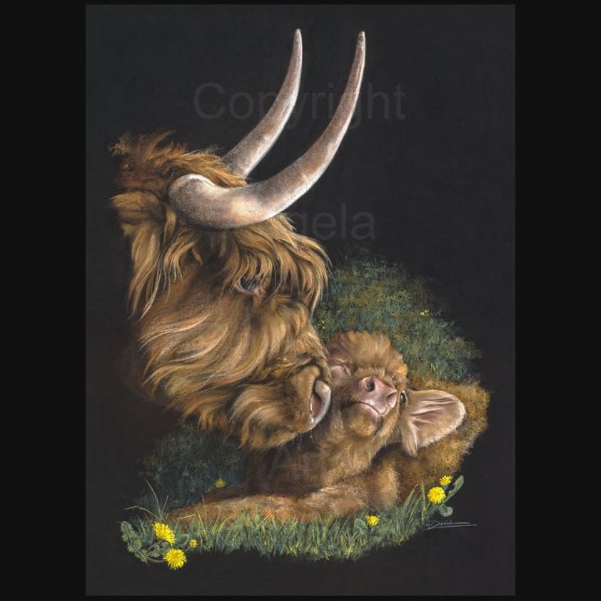 Mother's Pride: A Highland Cow Print by Angela Davidson Art