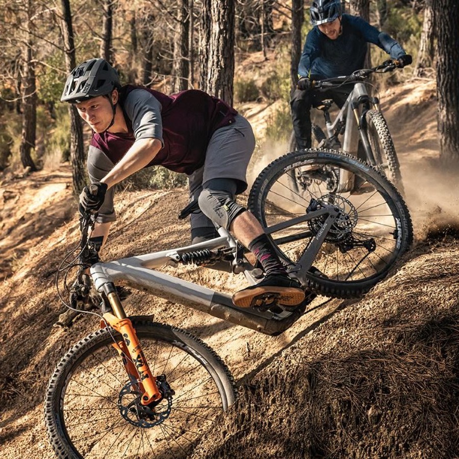 Electric Bikes