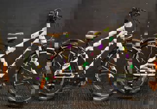 Pre-owned Frog 53 Spottie