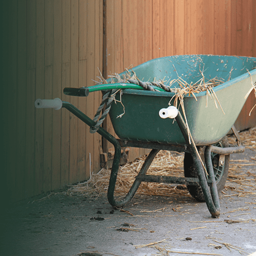 Yard & Stable Grazing