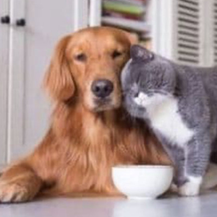 Pet Food & Supplements