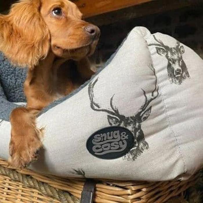 Dog Beds, Mats & Blankets