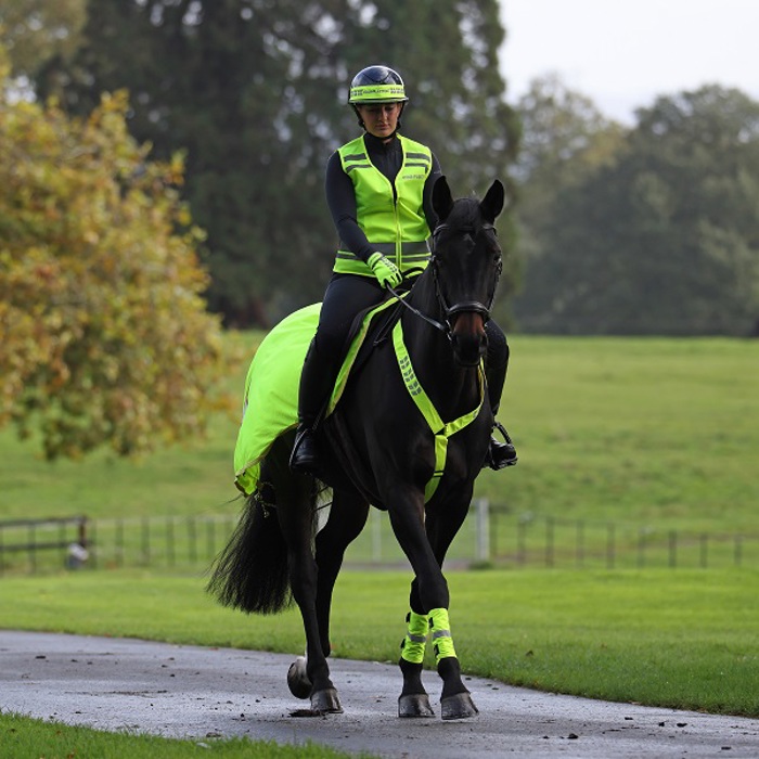 Horse & Rider Road Safety
