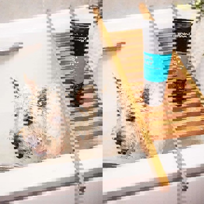 Pet Shampoo, Grooming & Coat Care