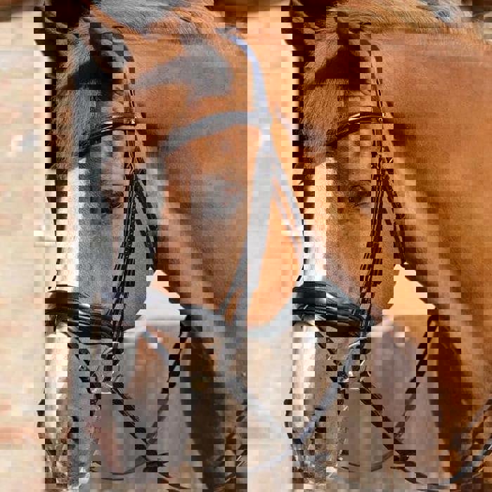 Bridles & Bridle Parts