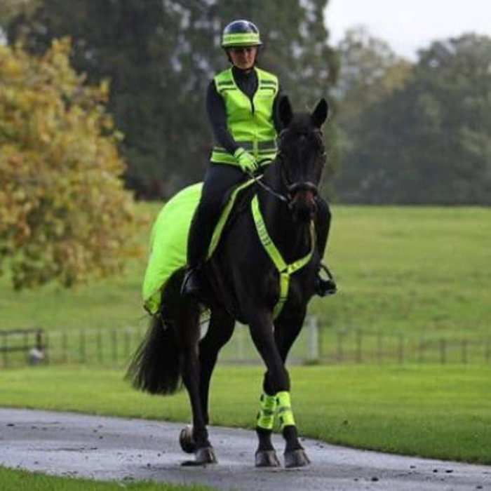 Horse & Rider Road Safety
