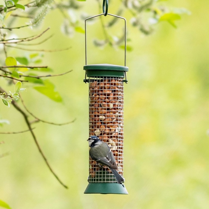 Wild Bird Feed & Feeders