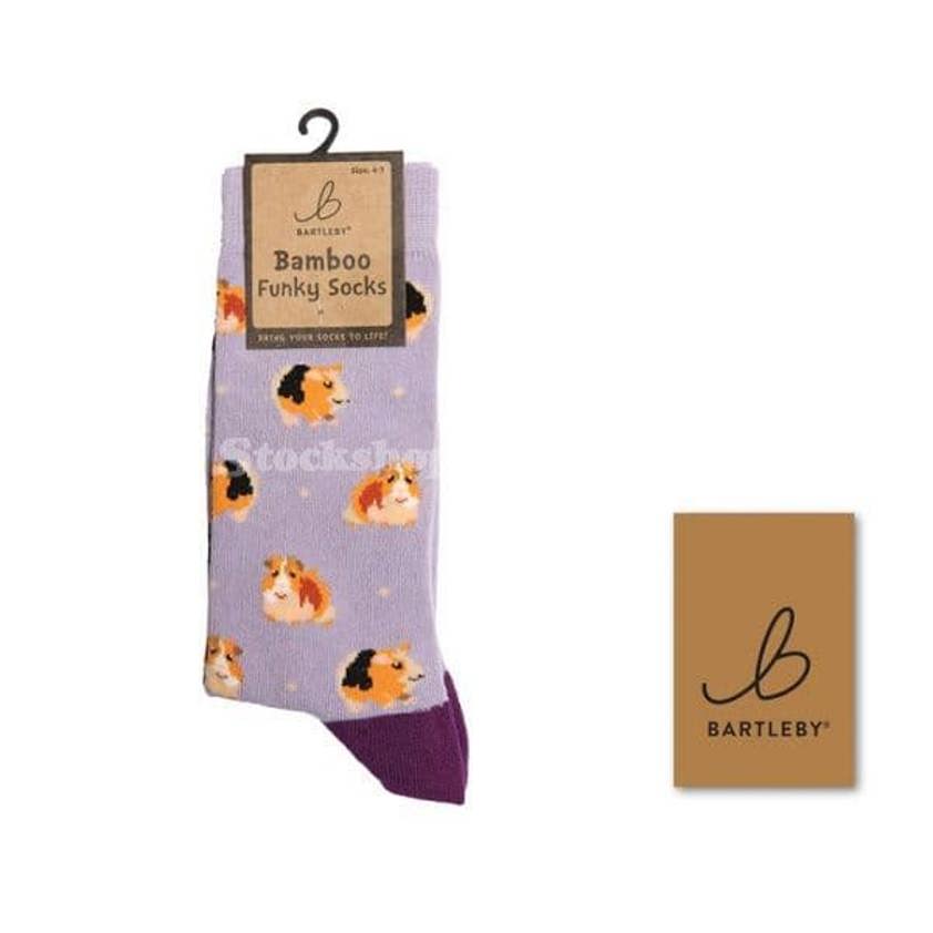 Visual Reference: Bartleby Funky Bamboo Socks