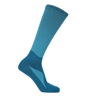 Kingfisher Shires Aubrion React Technical Socks