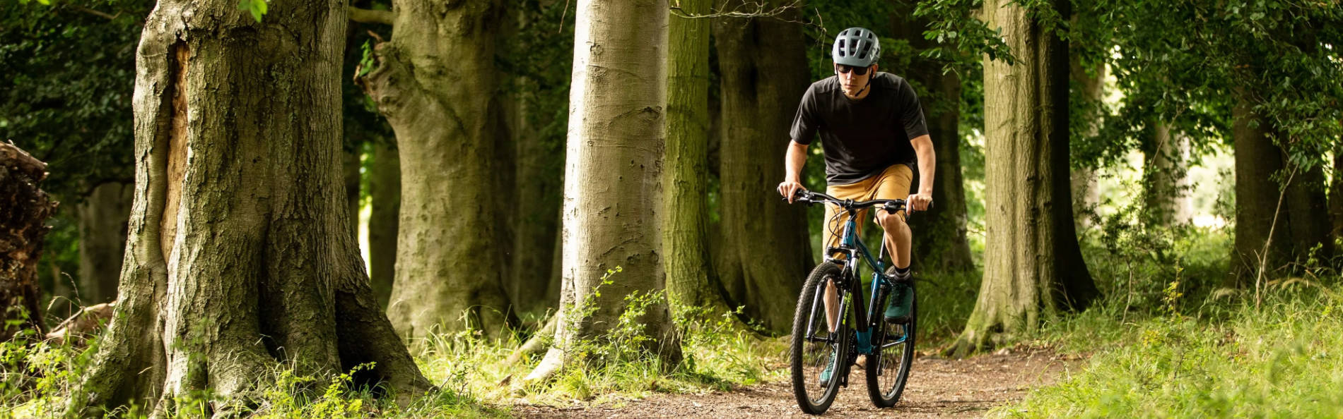 Hardtail Mountain Bikes