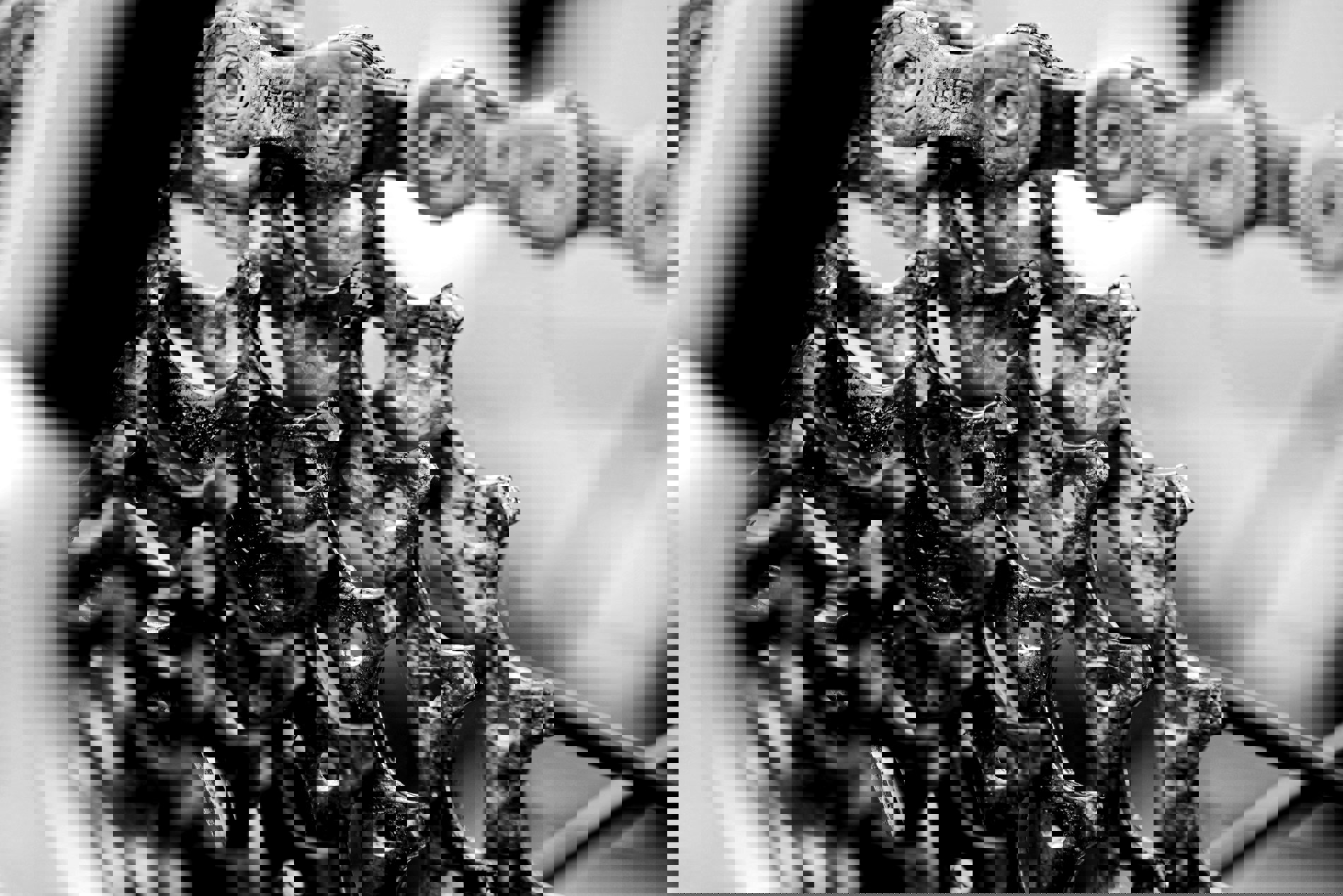 Saledock.Ecommerce.Core.Models.ImageDTO