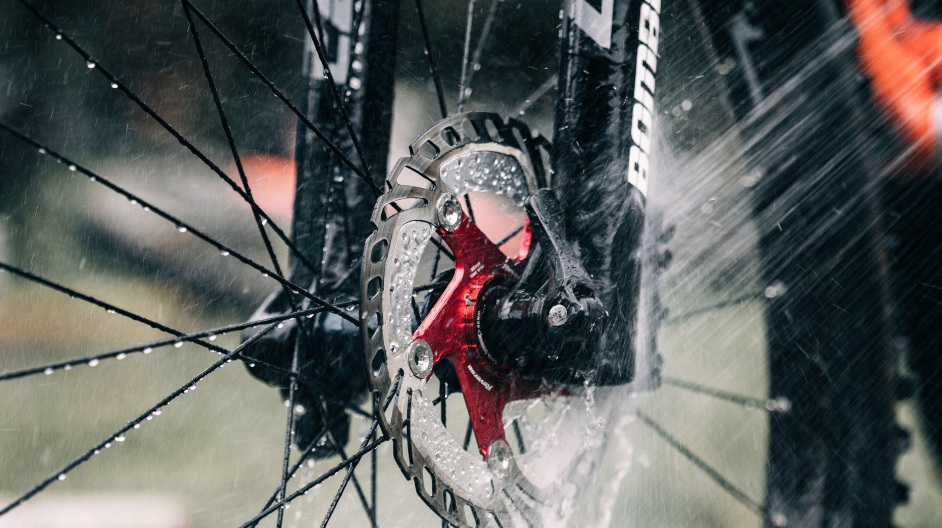 Saledock.Ecommerce.Core.Models.ImageDTO