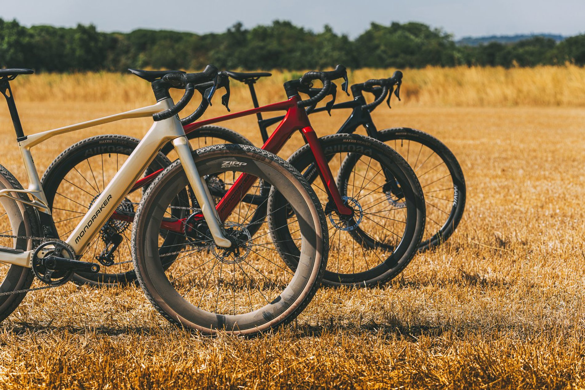 Electric Gravel Bikes