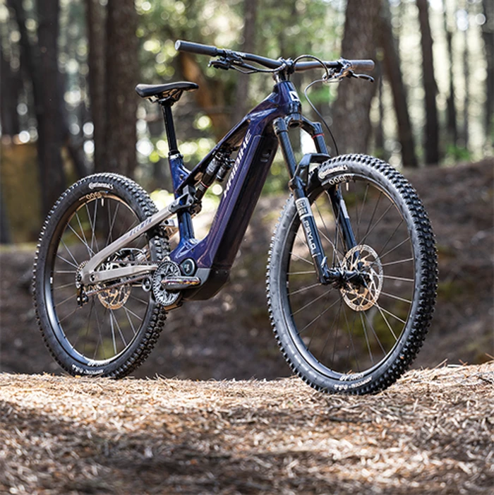E-MTB