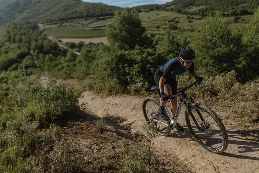 Mountain Bikes