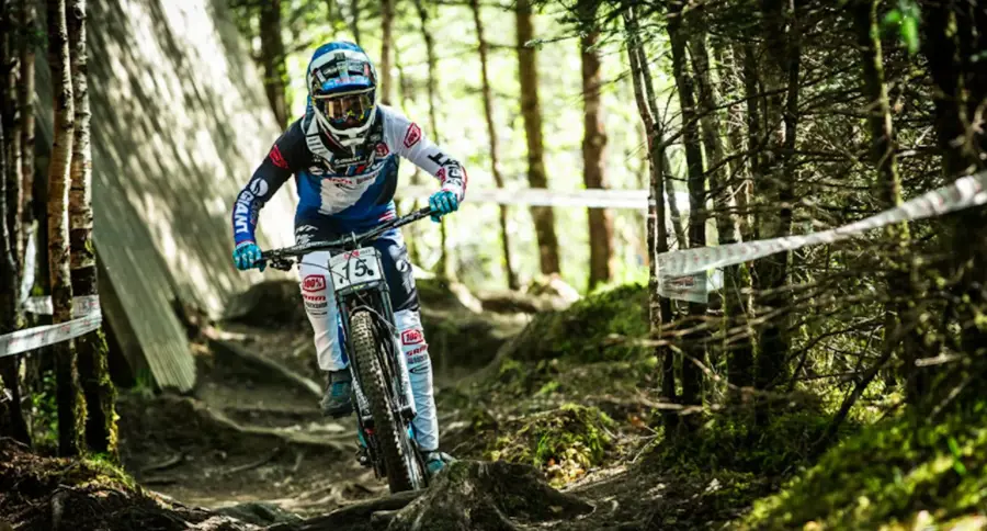 Mountain Bikes